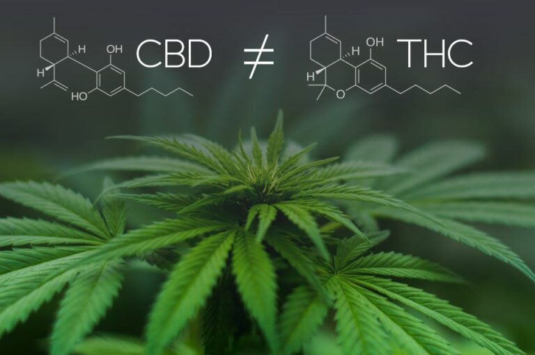 Where Can I Buy THC-B Products